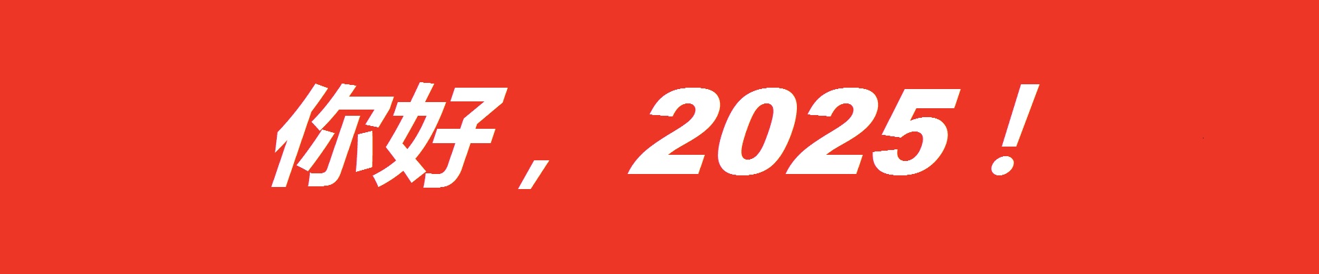 你好，2025
